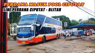 NEW!!! Detik-Detik Kedatangan Bus SDD Harapan Jaya di Pool Ciputat screenshot 5