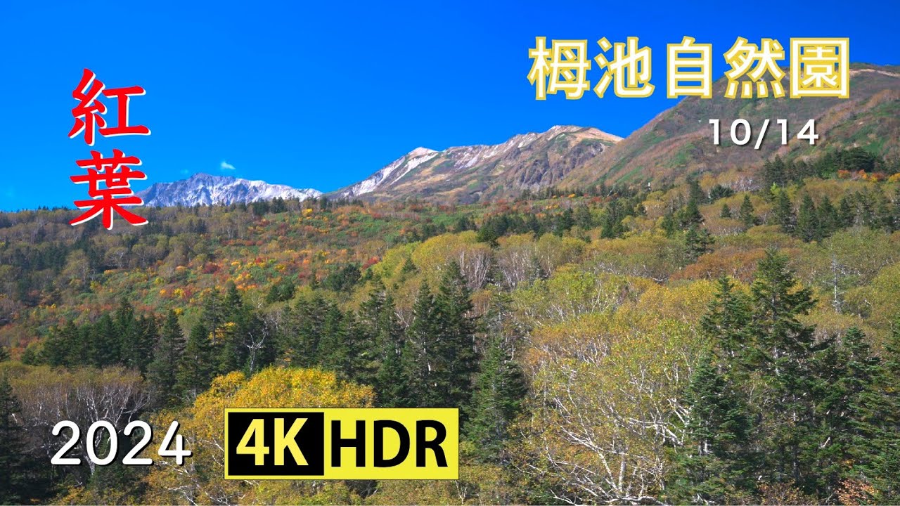 2024 美しい紅葉の栂池自然園(4K-HDR) Beautiful Autumn Foliage At