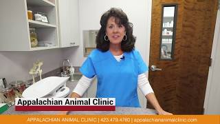 Appalachian Animal Clinic