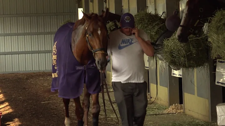 Chad Summers on Breeders Cup Sprint Contender Mind...
