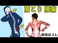 【10分】腰痛・肩こり解消ストレッチ【デスクワーカー必見】