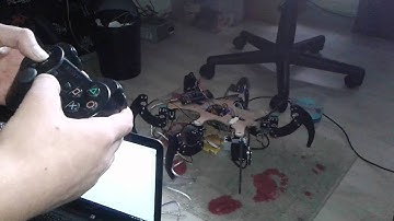 Hexapod