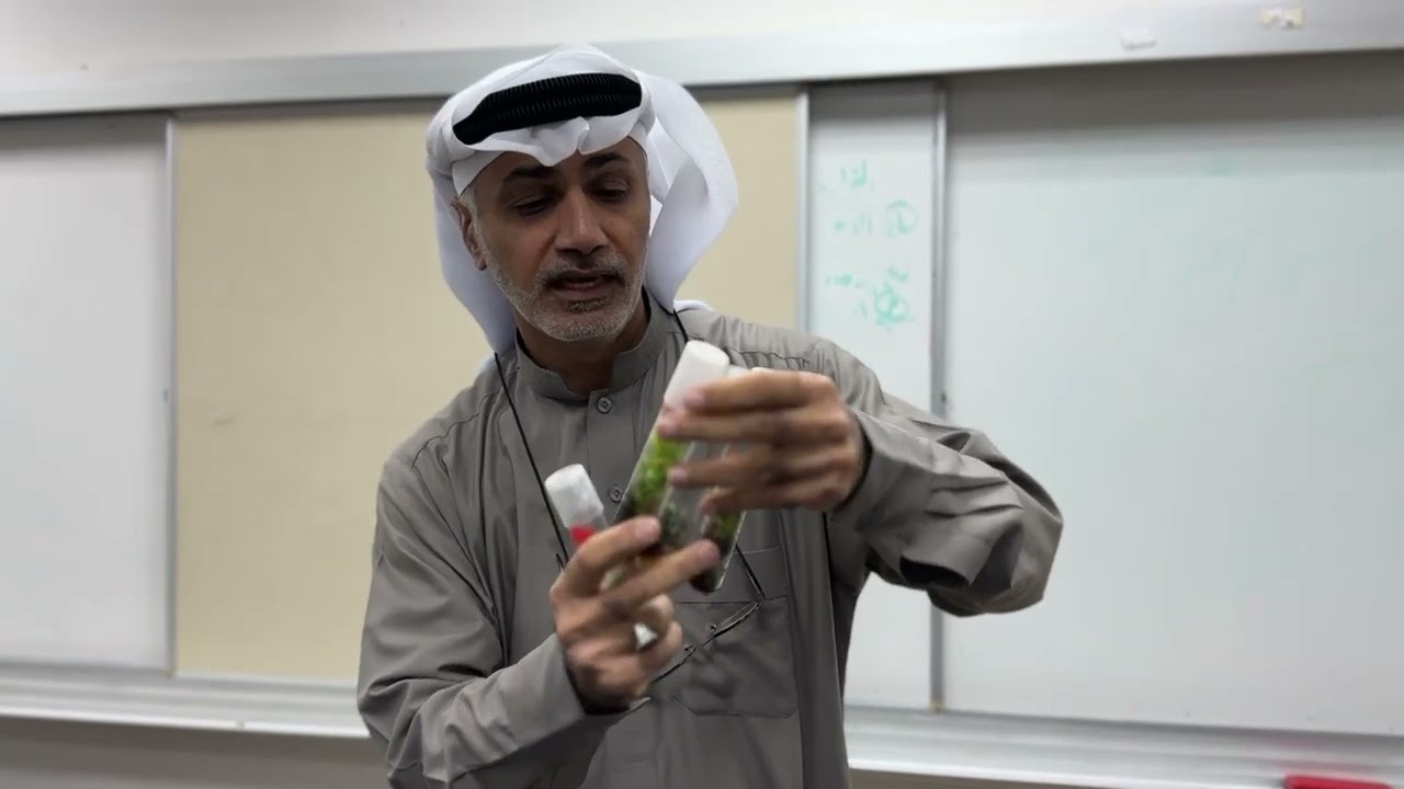 الكلانشوا و مقاومة البكتيريا و الفطريات