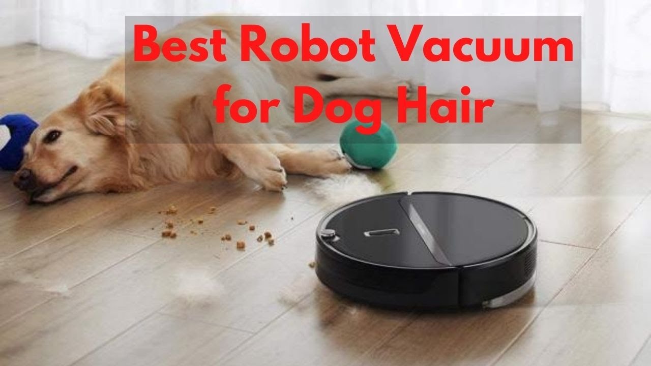 Best Robot Vacuum for Dog Hair 2023 YouTube
