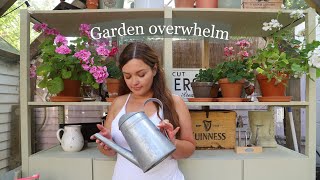 Battling garden overwhelm & cleaning the greenhouse| Cottage garden vlog