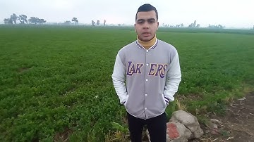 ما تيسر من سوره عم بصوت أ احمد محمد عبد المعطي