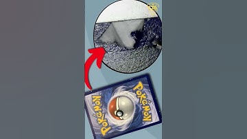 Difference Between Error and Damage