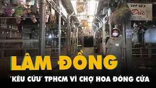 Sở Công thương TP.HCM nói gì về đề nghị mở lại chợ hoa Đầm Sen của Lâm Đồng?