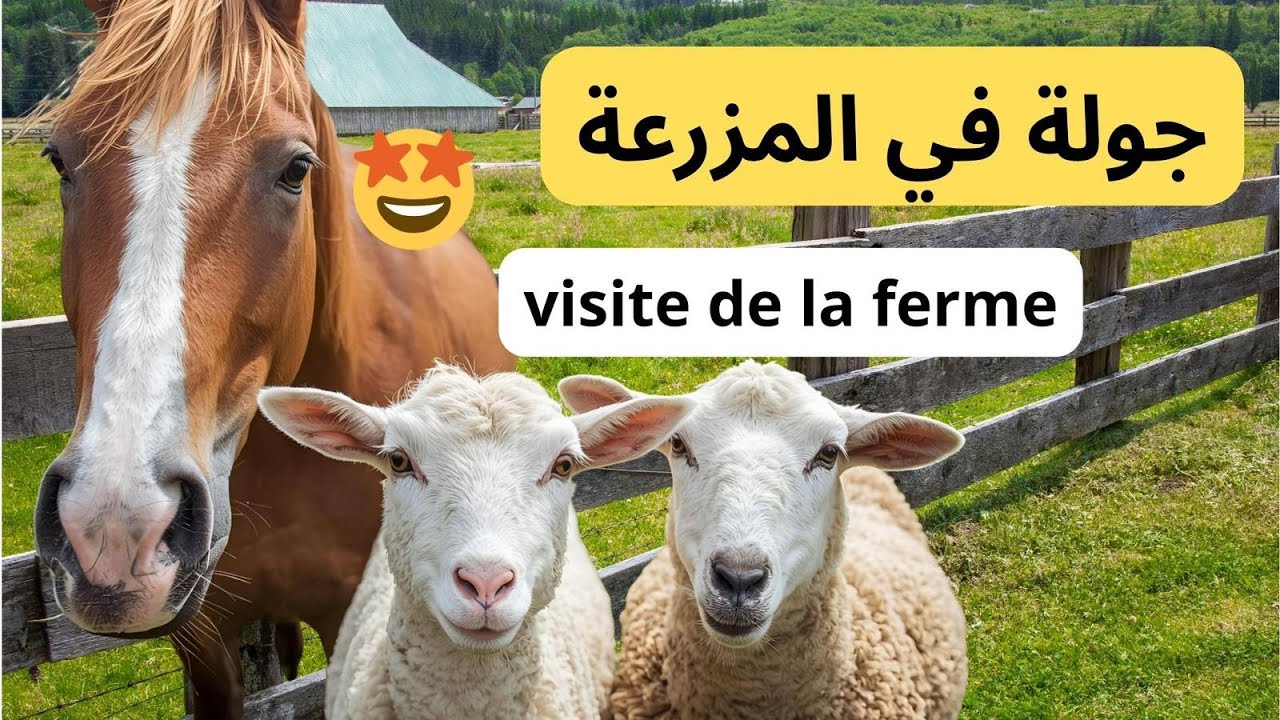 زيارة مذهلة للمزرعة – حيوانات رائعة |Incroyable visite à la ferme Des animaux adorables à découvrir