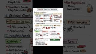 Types of Anemia #Anemia #Blood #Khun #motin
