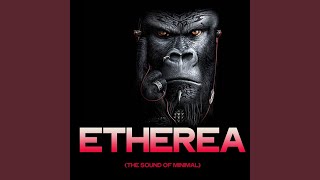 Face of Bronze (Original Mix)