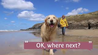 Dog Friendly Holidays in Cornwall - Short Version