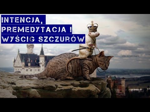 Wideo: Jak Wygrywać W Wyścigach