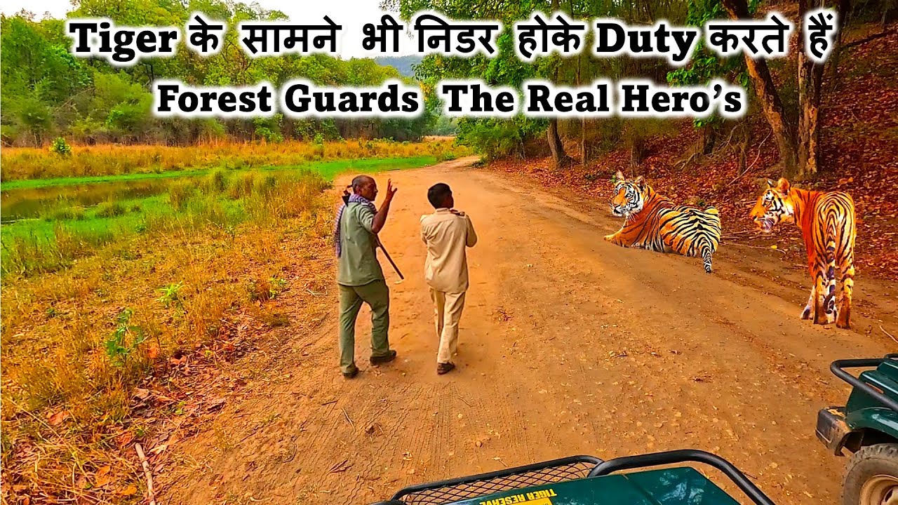Tiger के सामने भी निडर होके Duty करते हैं | Forest Guards  The Real Hero’s