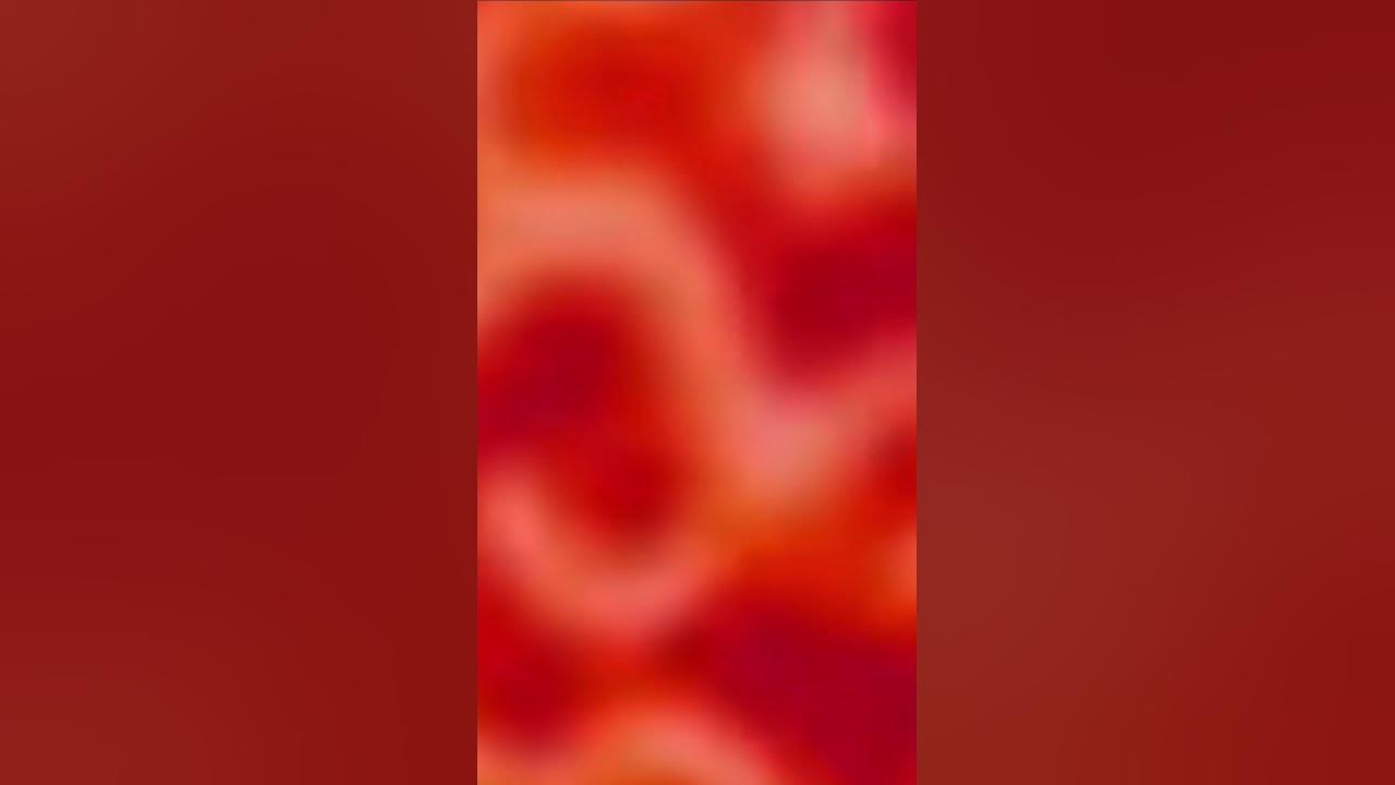 Coyote - YouTube