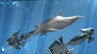 Dolphin's World - Drop Code (Single Edit)