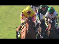 2023 Breeders' Cup Juvenile Fillies Turf - Hard to Justify