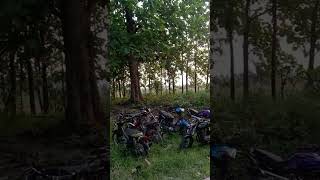 Download Lagu pasukan Karsosangli 🤘 MP3