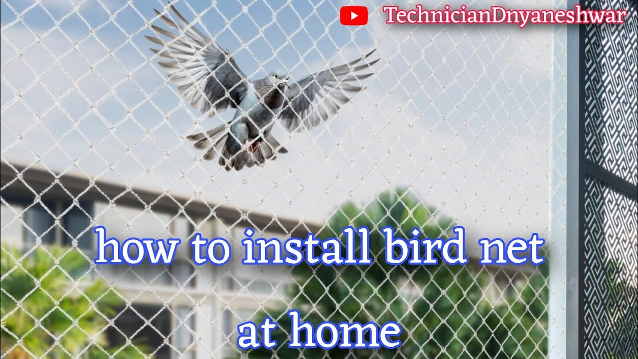 how to install bird net at home. बर्ड नेट घर पर कैसे लगाऐ.#viralvideo # ...