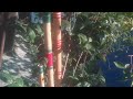 Aflute Maker is live // How to make bamboo flute