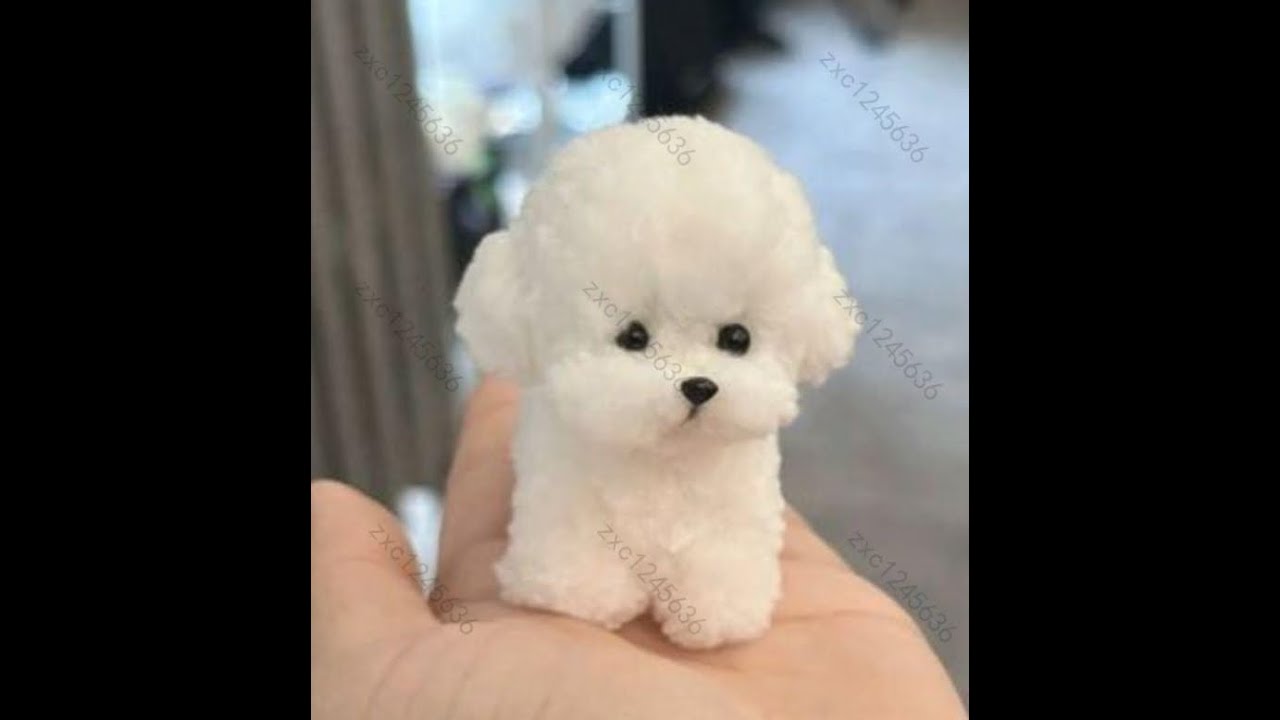 DIY自制扭扭棒小狗教程（新的）拍的比較清楚