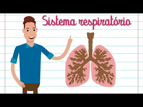 Vídeo: Como verificar as vias aéreas, respiração e circulação: 12 etapas