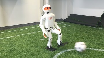 igus Humanoid Open Platform