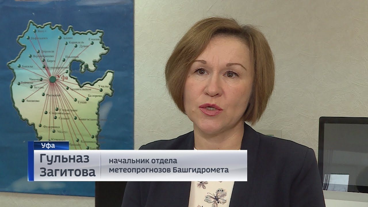 башкирское управление по гидрометеорологии и мониторингу окружающей. горохольская вилора зиннуровна. башгидромет уфа. башгидромет. башгидромет уфа.