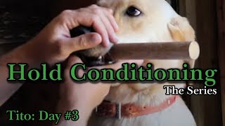 Hold Conditioning Tito | Day #3