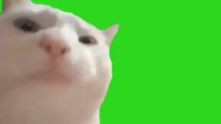 Vibing Cat Extended (Green Screen)