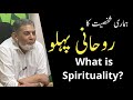 What do we mean by our spirituality? |Urdu| |Prof Dr Javed Iqbal|
