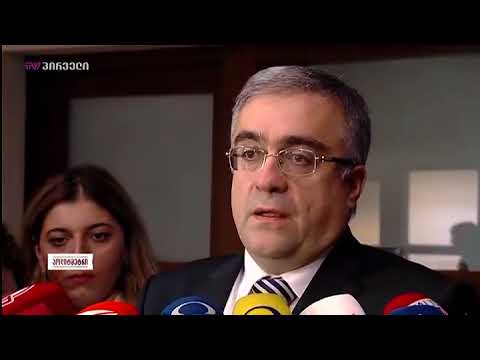 ნინო ჟიჟლაშვილი \"პოლიტმეტრის\" თემების წარდგენით