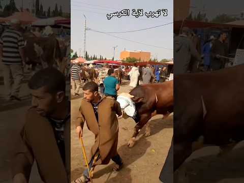 اكتب شي تؤجر عليه آيات قرآنية اللهاكبر  لا تهرب وتتجاهل حديث احتراما