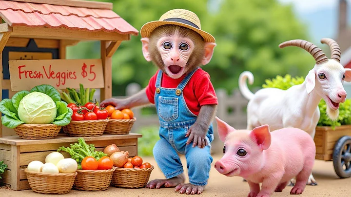 Monkey Nana Drives A Tractor And Embarks On A Bizarre Adventure With The Thuder Watermelon