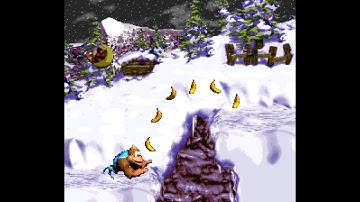 Donkey Kong Country 3: Dixie Kong