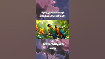 تلاوة رائعة تهز القلب استمع 🎧