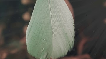 Eos - the awakening!