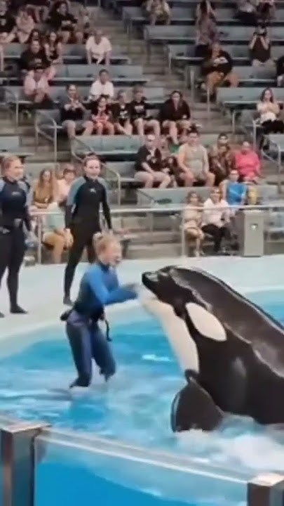 Jessica Radcliffe & the Killer Whale 