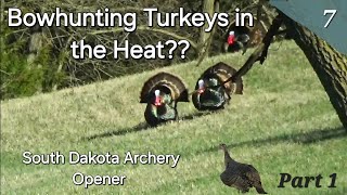 TPW: Bowhunting Turkeys in the Heat??? 🥵 South Dakota Archery Turkey Opener.