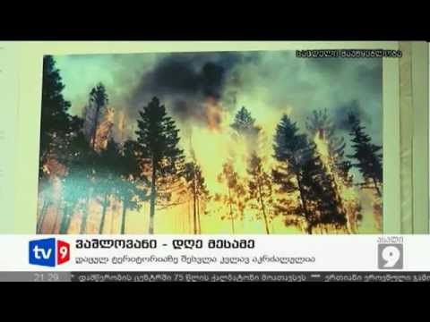 ვაშლოვანის ნაკრძალი ნადგურდება