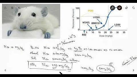 ¿Qué daños provoca el cloro en el medio ambiente?