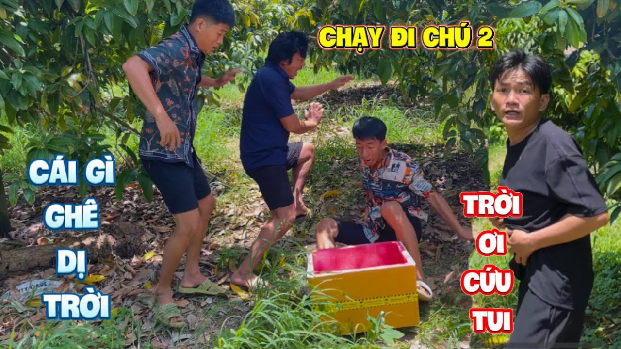 Tư nhọn và minh siển chạy bò càng khi thấy cảnh tượng này giữa đồng vắng | HoàiPhong TV