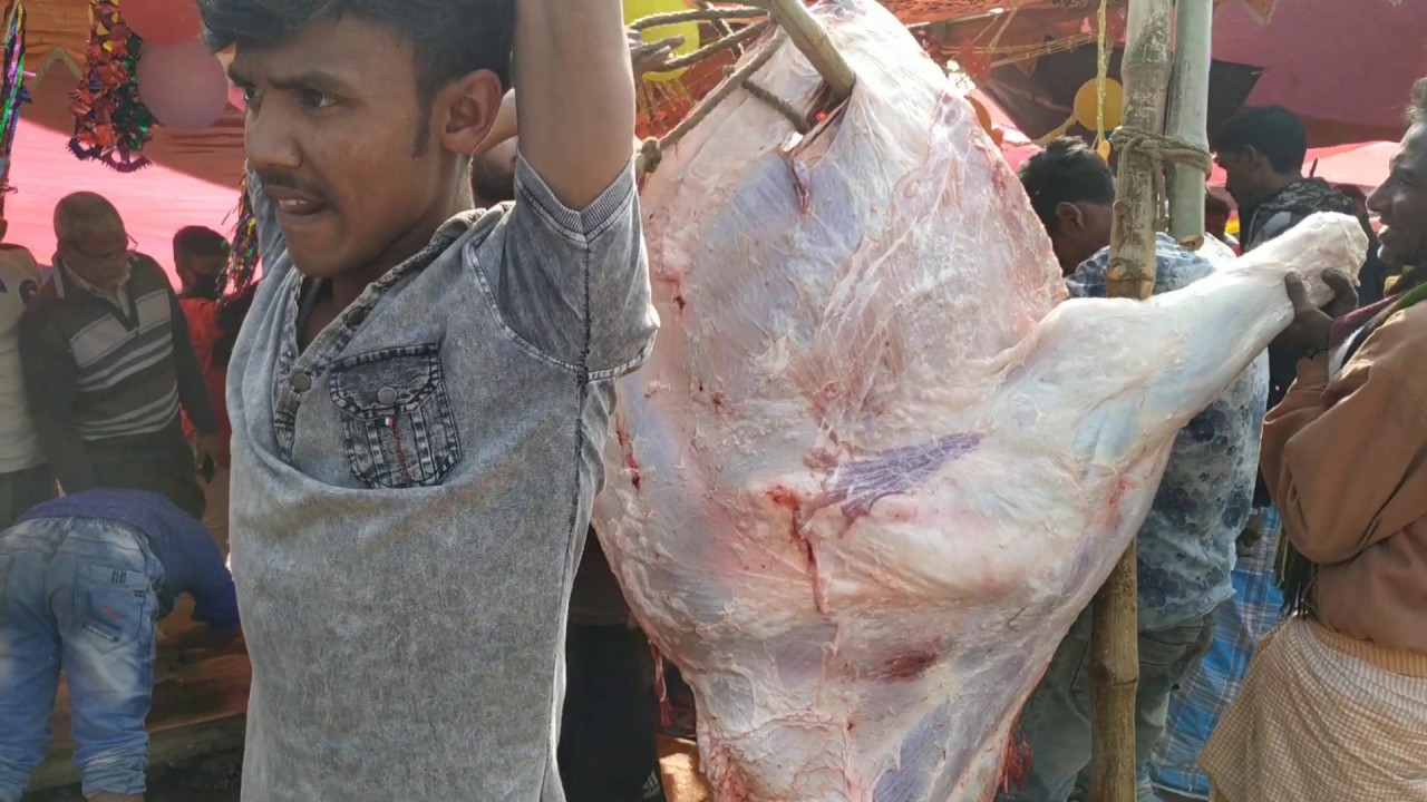 Amazing Big Buffalo Meat Cutting and Process | Full Buffalo Meat