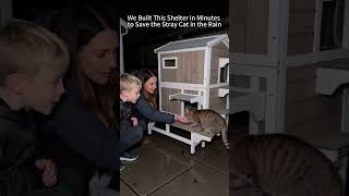 Looking for a safe and weatherproof shelter for outdoor cats? 🐈🏠#cat #catvideo #petshub #pets