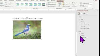 How to Insert Dotted Border Around Picture in PowerPoint