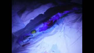 DSCF1592