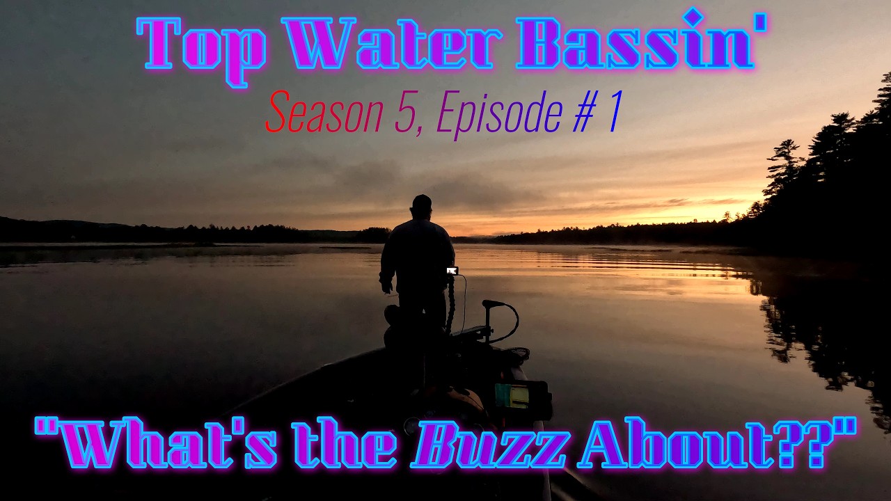 Top Water Bassin' – Bass Fishing New England on Chicken Thigh Fishing#nightbass#topwaterbassfishing