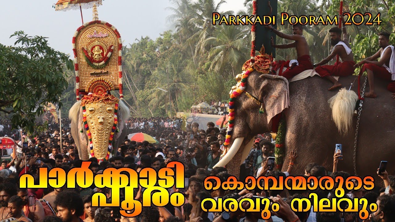 ഗജരാജാക്കന്മാരുടെ എഴുന്നള്ളത് | പാർക്കാടി പൂരം | Parkkadi Pooram 2024