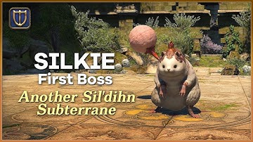 FFXIV 6.25 - SILKIE Criterion Dungeon Normal CLEAR (PLD POV) Another Sil