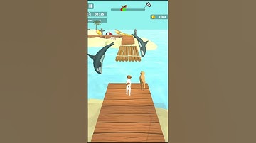 Dog Run 3D Fun Race! All Level Gameplay walkthrough For Android And iOS